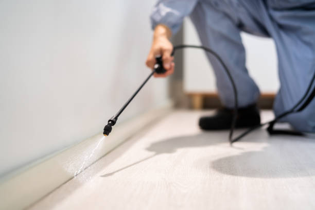 Bed Bug Pre-Treatment Preparation Assessment in San Antonio Heights