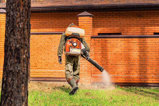 Bed Bug Clearance Verification and Documentation in San Antonio Heights